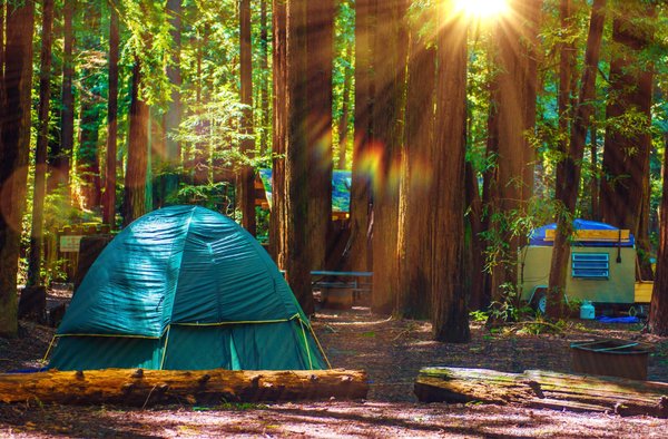 Camping golfe du morbihan : incontournables et activités à découvrir