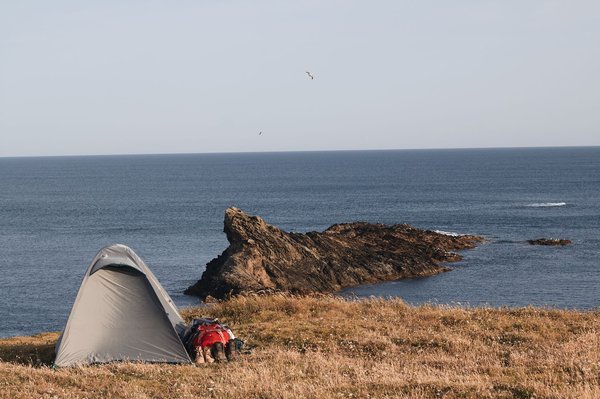 Séjour de rêve à bréhat: votre guide des locations